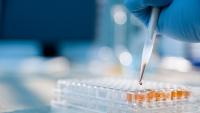 Researcher injecting liquid into a microtiter plate
